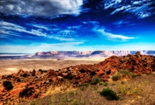 Petrified Forest National Park